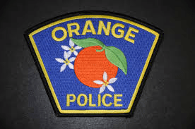 Patch of Orange Police with an orange fruit and flowers.